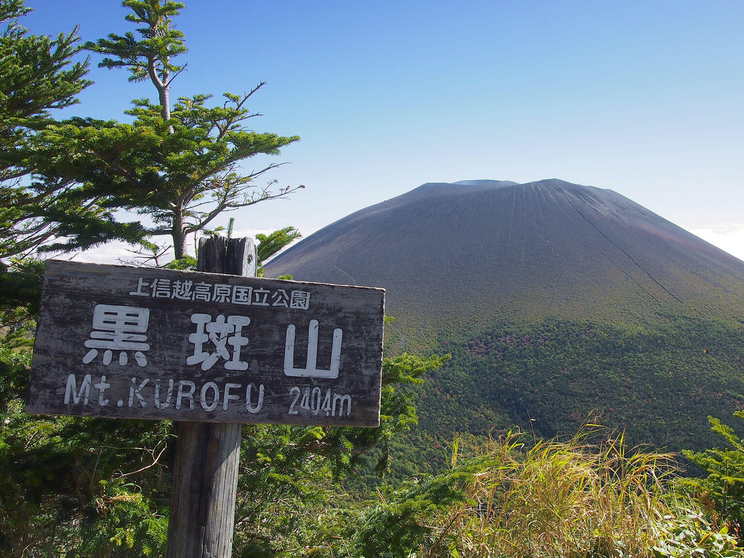 看板